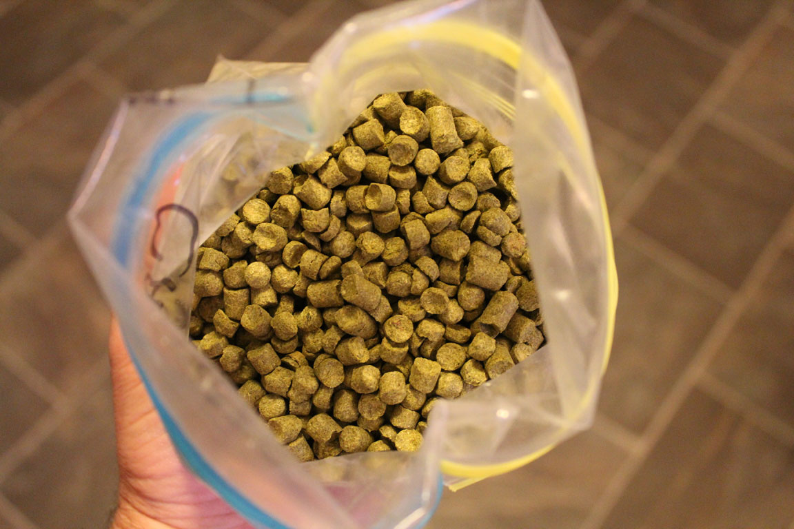 Picture of hops.