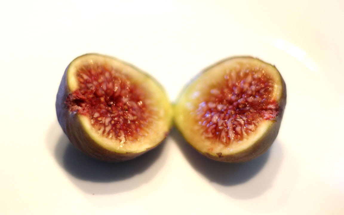 Picture of fig.