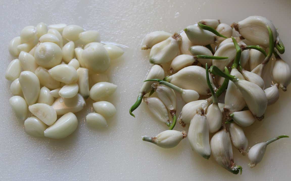 Picture of garlic.