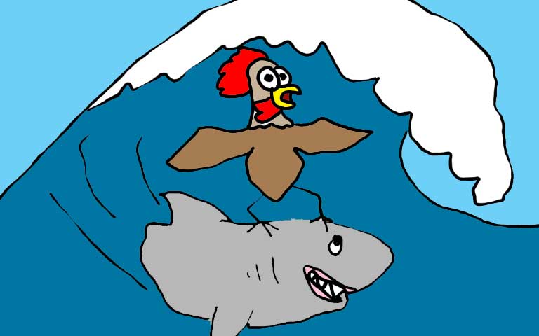 Picture of chicken surfing cartoon.