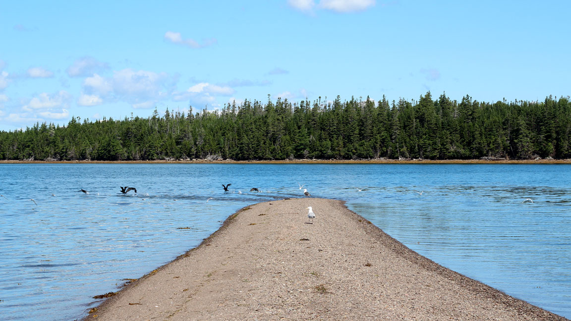 Picture of Isle Madame.