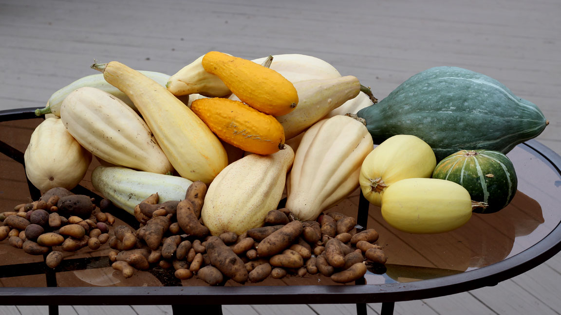 Picture of harvest.