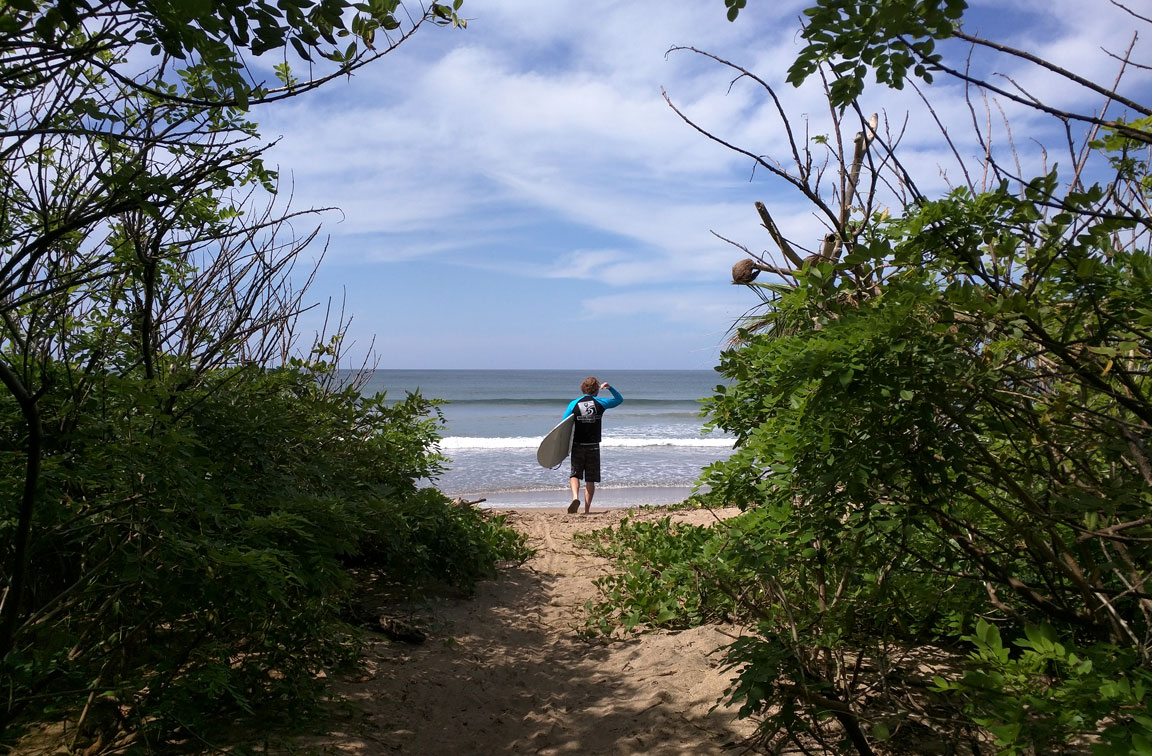 Picture of trail to beach.