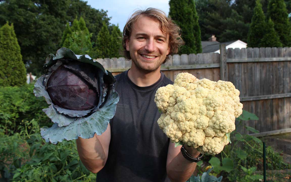 Picture of vegetables.