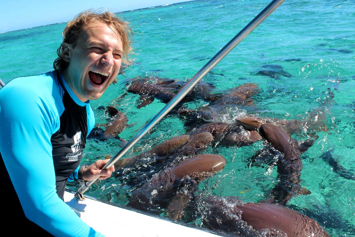 Picture of snorkeling with sharks.