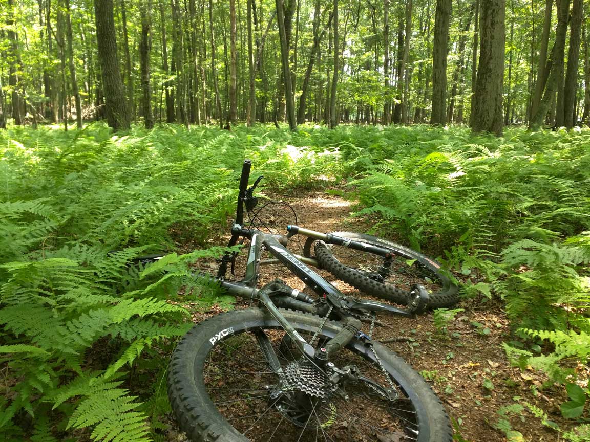 Picture of mountain bike.
