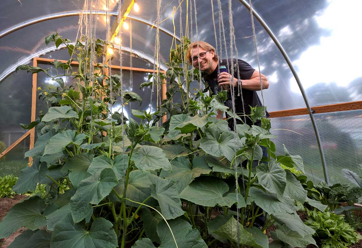 Picture of greenhouse.