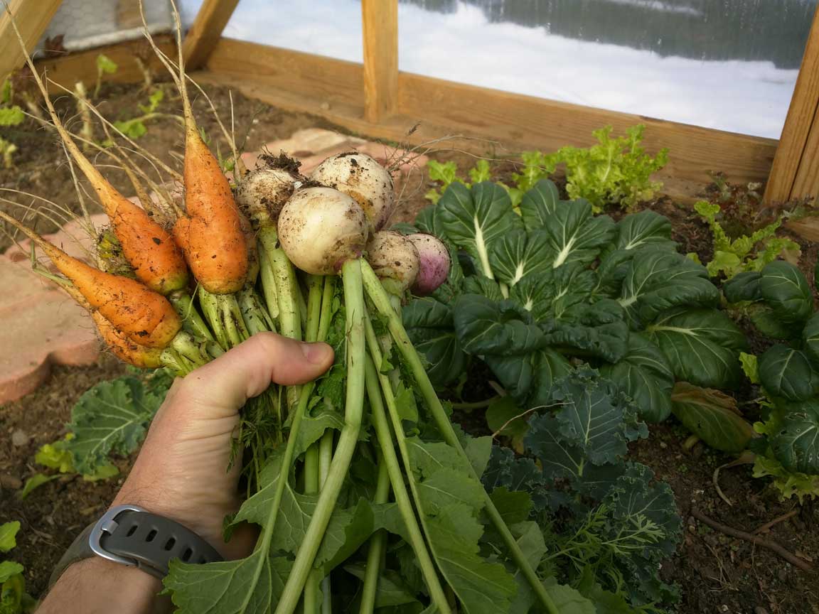 Picture of vegetables.