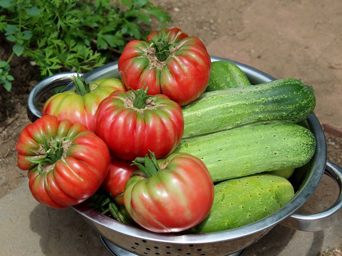 Picture of vegetables.