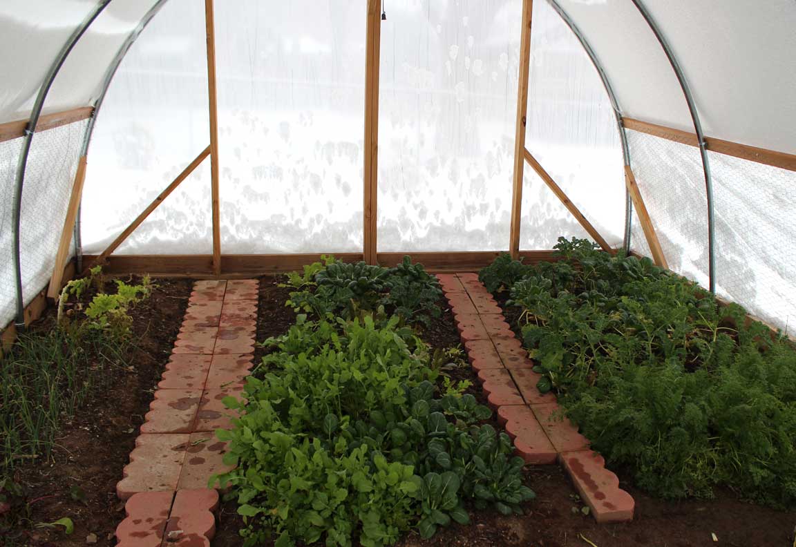 Picture of greenhouse in snow.